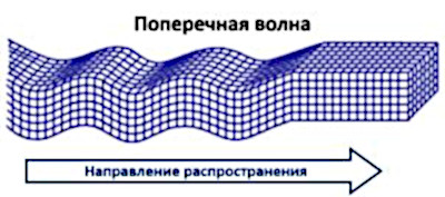 Продольное изображение. Продольные и поперечные сейсмические волны. Поперечные волны. Продольные и поперечные волны рисунок. Изображение продольных и поперечных волн.