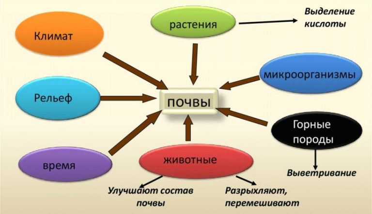 Дополните схему почва вписав недостающие понятия в этой системе