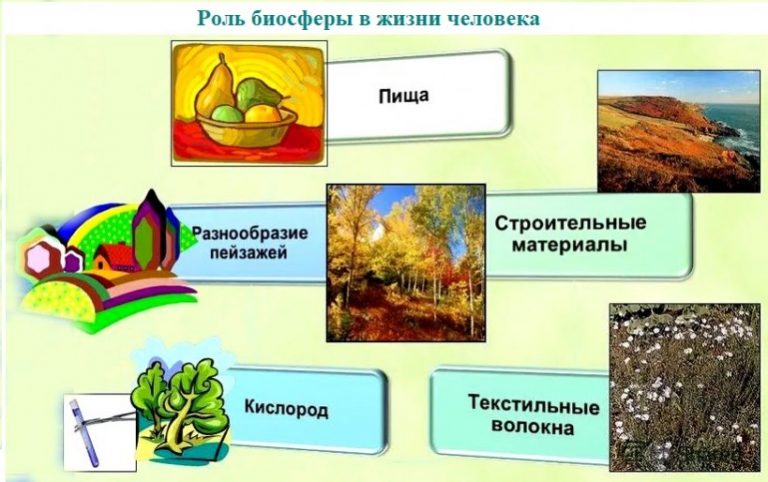 План урока география 6 класс биосфера