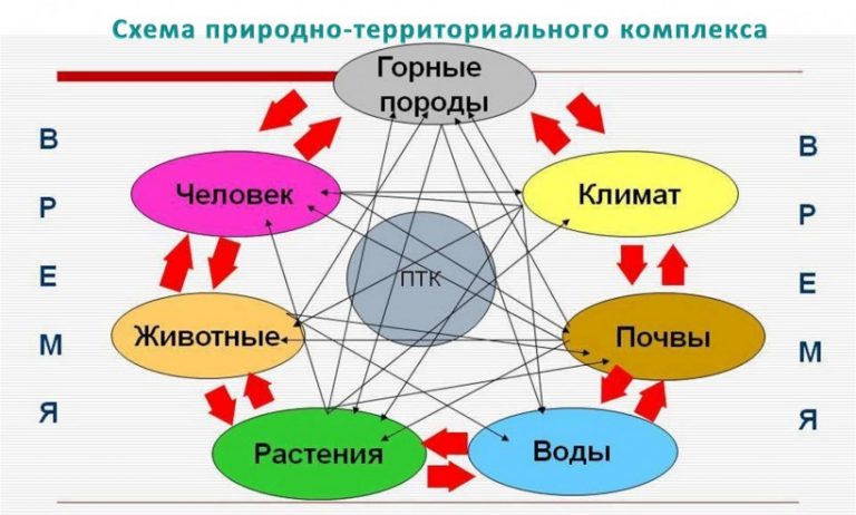 Презентация по географии 6 класс природные комплексы как части географической оболочки